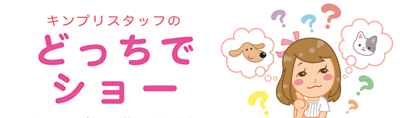 キンプリスタッフのどっちでショー
