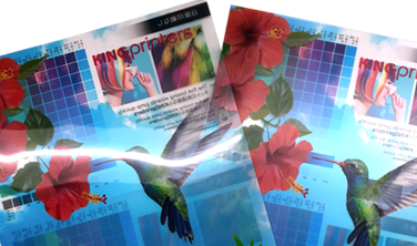 クリアファイル印刷のサンプル請求のイメージ