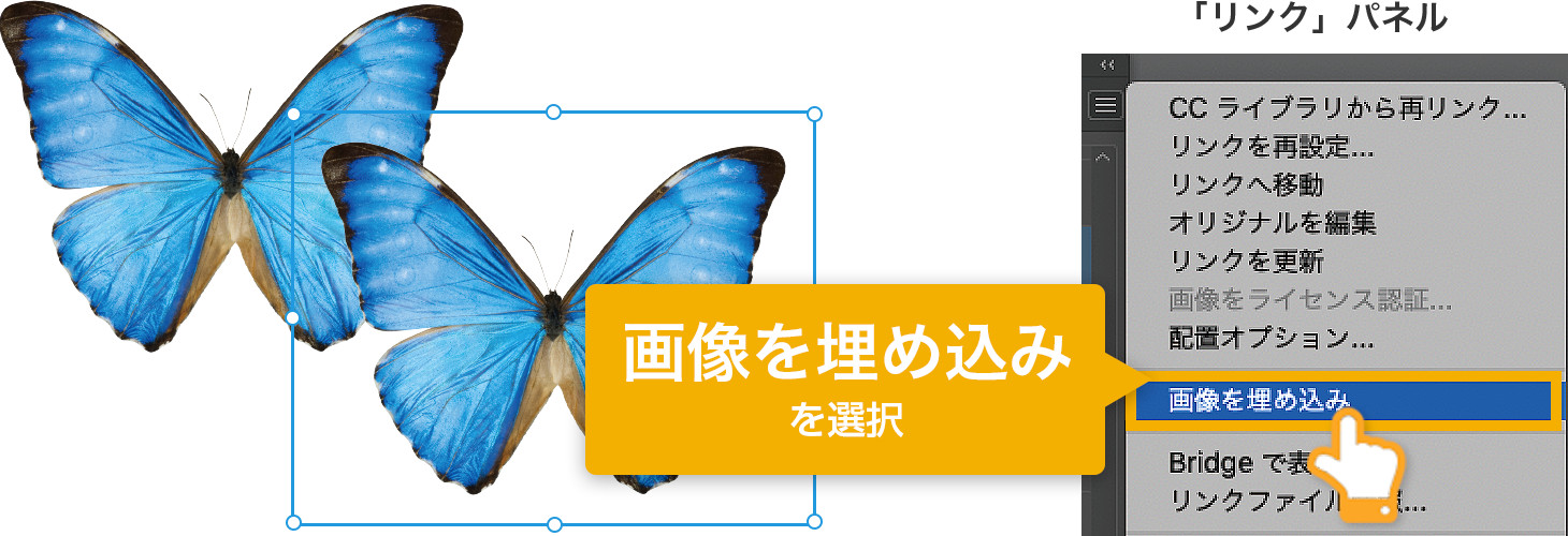 リンクパネルから画像を埋め込み