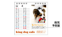 ペットショップ・美容室向けカレンダーのイメージ