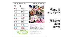 花屋向けカレンダーのイメージ