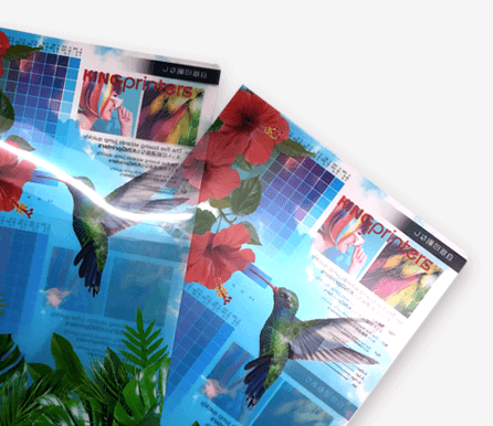 サンプル請求 クリアファイルのイメージ