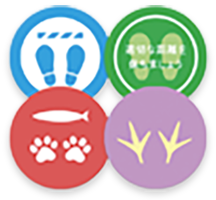 フロアステッカーイメージ