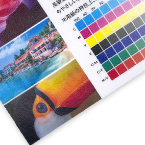 クラシコトレーシング-FS 105gsm(90kg)