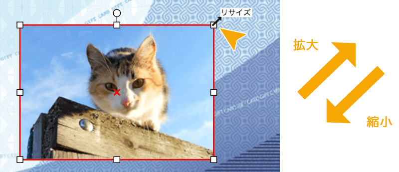 写真を拡大・縮小する方法