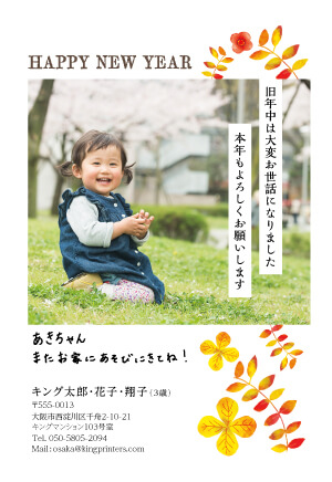 お客様の環境における正常な画像