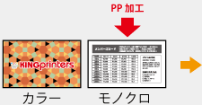刷色:表カラー 裏白黒 PP加工:白黒面