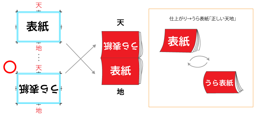 上綴じ(天綴じ)冊子【単ページ】作成の注意点 正しい
